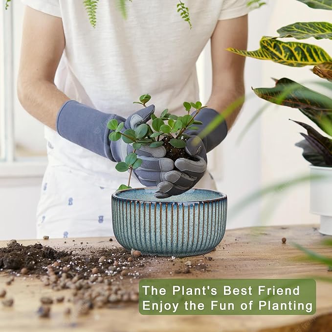 Plant Pots Indoor with Drainage Hole 6 inch Ceramic Plant Pot Grey Blue Succulent Pot Small Round Planters for Indoor Outdoor Plants Bonsai Bowl Decorative Flower Pots for Orchid Cactus Snake Plant