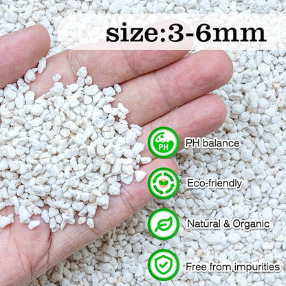 Perlite,Premium Oraganic Perlite Soil Amendment for Plant,Porous Volcanic Rock, Aeration & Drainage Enhancer, Ideal for Succulents, Flower Plants, Hydroponics-4 QT