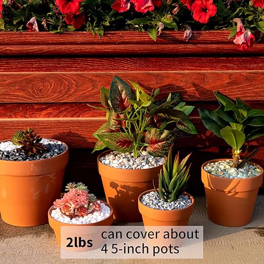 2 Pounds Natural Pea Gravel Pebbles for Plants,1/5 Inch Small Rocks for Succulents and Cactus,Terrarium,Vase,Fish Tank Gravel,Decorative Pebbles for Indoor Plants,Landscape Stones (Mixed)