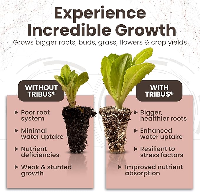 Tribus Organic Microbial Inoculant | Root Booster for Plants, Increases Plant Yield, Root Growth, Flower & Fruit Quality | Made in The USA | Visible Root Growth in 24Hrs | Potent Rhizobacteria 16.9oz