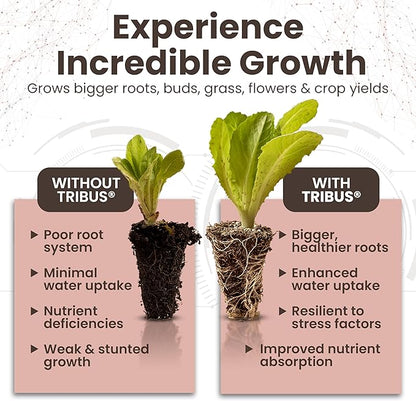 Tribus Organic Microbial Inoculant | Root Booster for Plants, Increases Plant Yield, Root Growth, Flower & Fruit Quality | Made in The USA | Visible Root Growth in 24Hrs | Potent Rhizobacteria 16.9oz