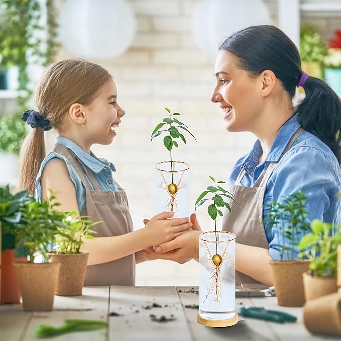 2 Pack Avocado Tree Growing Kits - Avocado Growing Vase - Avocado Seed Starter Vase Glass Plant Pot Easy Seed Sprout Starter Gift for Women Gardening Lovers Home Office Table Decoration (Gold)