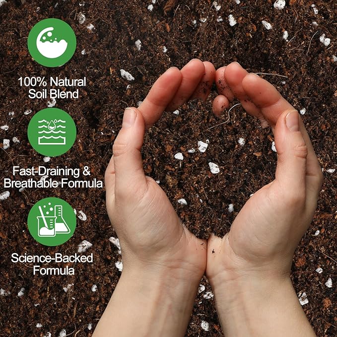 Pothos Potting Soil -100% Natural 10qt, Well-Draining and Aerated for Healthy Indoor Plants