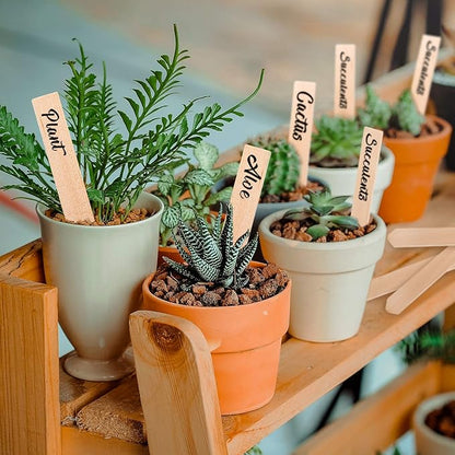 Whaline 50Pcs Wooden Plant Labels with A Marker Pen, Waterproof Pointed Wooden Plant Sign Tags Eco-Friendly Garden Markers for Seed Potted Herbs Flowers Vegetables (15 x 2 cm)