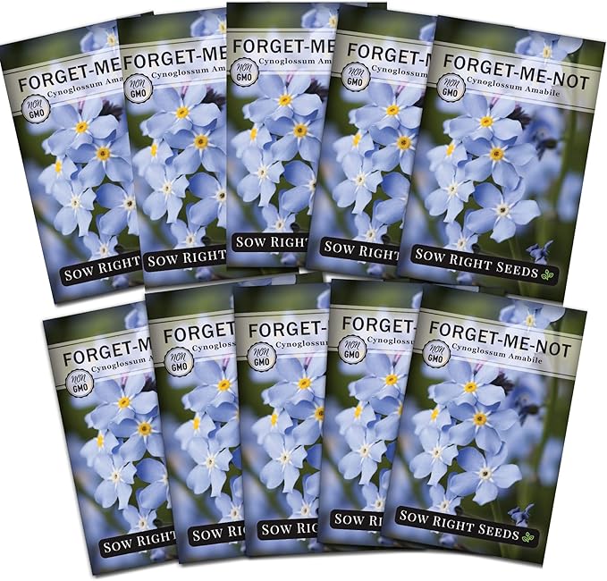 Sow Right Seeds - Forget-Me-Not Flower Seeds for Planting (Cynoglossum amabile) - Non-GMO Heirloom Packet with Instructions - Great to Pair with Cards of Remembrance - Small Blue Memory Blooms (10)