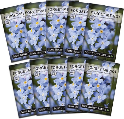 Sow Right Seeds - Forget-Me-Not Flower Seeds for Planting (Cynoglossum amabile) - Non-GMO Heirloom Packet with Instructions - Great to Pair with Cards of Remembrance - Small Blue Memory Blooms (10)