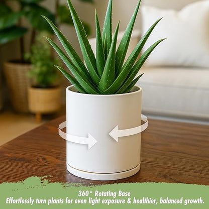 D'vine Dev Double-Layer Planter Set – Rotating Plastic Cachepot with Clear Inner Liner for Root Health, Perfect for Indoor Plants, 6.5", Oatmeal, 73-U-D-2
