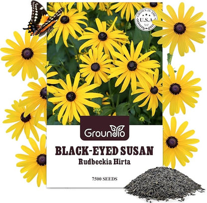 Black Eyed Susan Seeds, 7500+ Perennial Flower Seed to Plant Indoor & Outdoor, Attract Pollinators | Non-GMO | Heirloom Wildflowers Seeds, USDA Zone 3-9