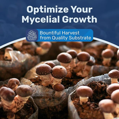 Surfin' Spores Premium Mushroom Substrate - 20 lbs Bulk CVG Blend for Monotub Cultivation - Pasteurized Coco Coir, Vermiculite & Gypsum Mix - Professional Mycologist Formula for Growing Mushrooms