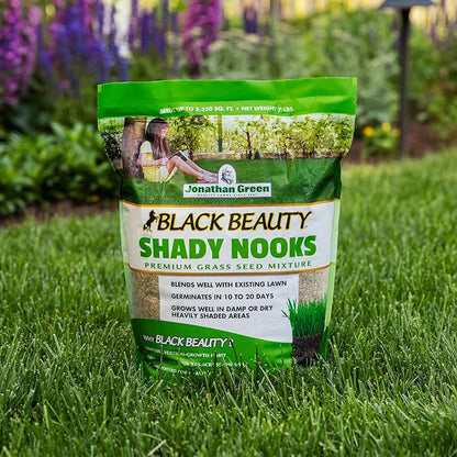 Jonathan Green (11957) Black Beauty Shady Nooks Grass Seed - Cool Season Lawn Seed (3 lb)