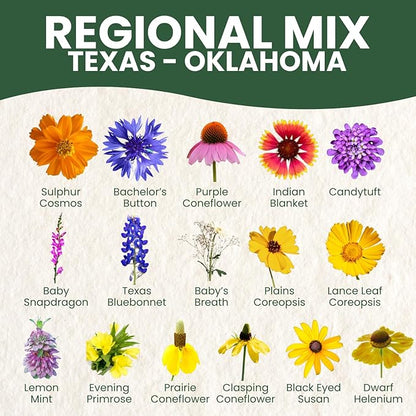 Texas Oklahoma Regional Mix – 79,000 Seeds for Planting – 2026 Season – 4 Ounce Pouch
