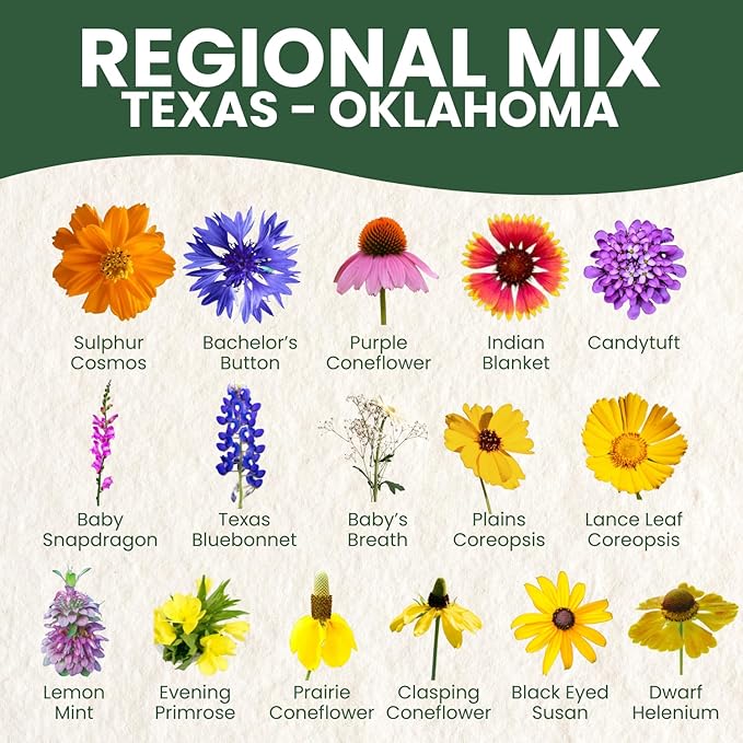 Texas Oklahoma Regional Mix – 3,500 Seeds for Planting – 2026 Season – 5-Gram Pouch