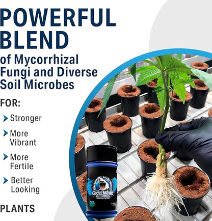 Great White Mycorrhizal Fungi, Beneficial Bacteria for Plant Growth, Root Stimulator, Concentrated 3-in-1 Formula by Plant Success (32 oz)