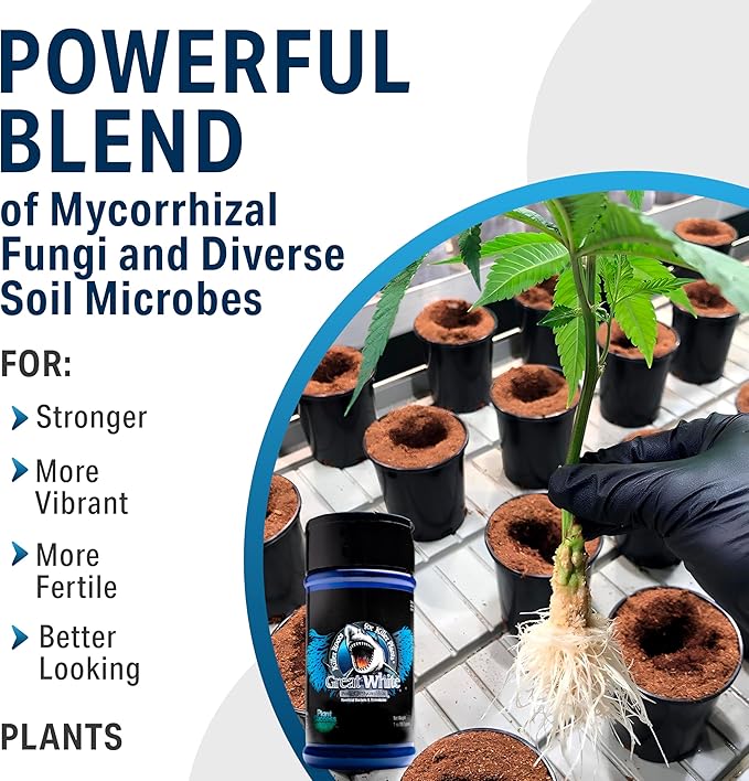 Great White Mycorrhizal Fungi 1 oz, Beneficial Bacteria for Plant Growth, Root Stimulator, Concentrated 3-in-1 Formula by Plant Success