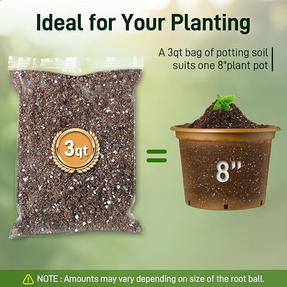 3QT Potting Soil Mix for Indoor Plants - Contains Perlite, Peat Moss, Coco Coir & Rice Charcoal, Natural & Organic Material with Well-Draining, Light & Aerated Texture for Healthy Roots & Fast Growth