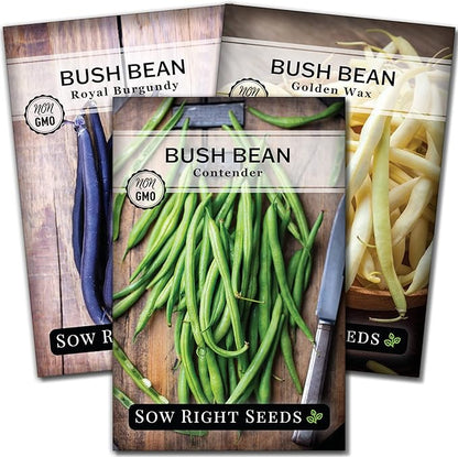 Sow Right Seeds - Tri Color Bush Bean Seed Collection for Planting - Individual Packets Contender, Royal Burgundy and Golden Wax Bush Beans - Non-GMO Heirloom Seeds to Plant a Home Vegetable Garden