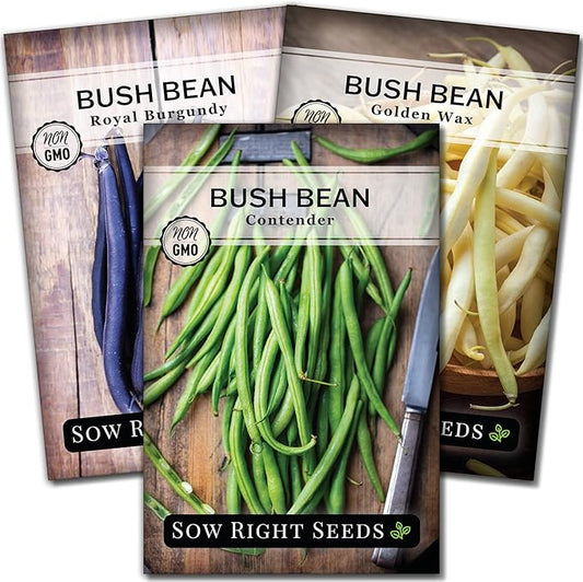 Sow Right Seeds - Tri Color Bush Bean Seed Collection for Planting - Individual Packets Contender, Royal Burgundy and Golden Wax Bush Beans - Non-GMO Heirloom Seeds to Plant a Home Vegetable Garden