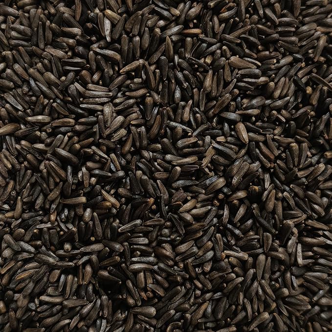 Happy Wings Nyjer/Thistle Seeds with Empty Sock for Wild Bird Food - 5 Pounds I No Grow Seed