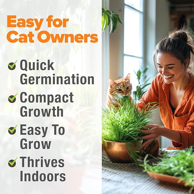 HOME GROWN Non GMO 1 Pound Cat Grass 12,700+ Seeds for Cat & Kittens Oat & Barley Mix 100% Heirloom, Grow Fresh Kitty Grass for Chewing, Pet Grass for Cats Indoor Garden