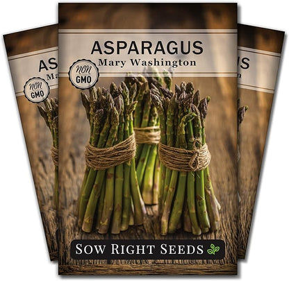 Sow Right Seeds - Mary Washington Asparagus Seed for Planting - Non-GMO Heirloom Packet with Instructions to Plant an Outdoor Home Vegetable Garden - Classic Perennial Stalks with Hearty Flavor (3)