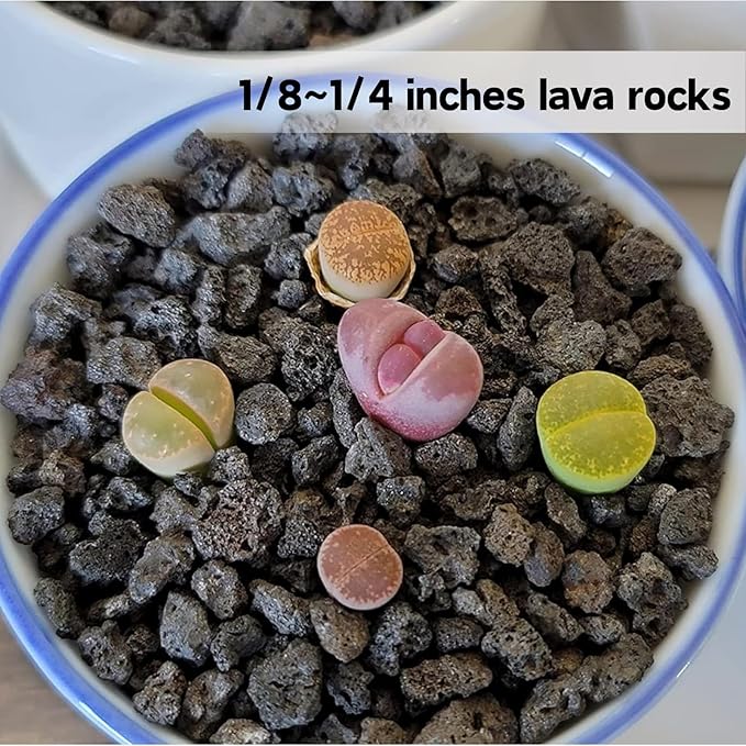 3lb Black Lava Rock for Plant, 1/8-1/4 inch Horticultural Volcanic Rock Soil for Decorative Landscaping Bonsai, Cacti, Succulents Plants Top Dressing for Release Excess Water