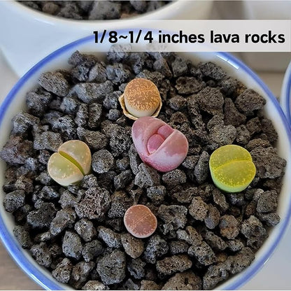 3lb Black Lava Rock for Plant, 1/8-1/4 inch Horticultural Volcanic Rock Soil for Decorative Landscaping Bonsai, Cacti, Succulents Plants Top Dressing for Release Excess Water