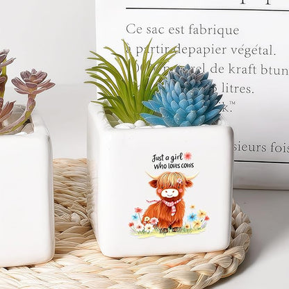 Highland Cow Succulent Planter Flower Plant Pot Small, Gifts for Women Teens Girls Kids, Cow Lovers Themed Stuff Accessories Things Decor Merch, Home Office Table Desk Decoration!
