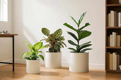 D'vine Dev 6.5 Inch 8 Inch 10 Inch, Set of 3 Plastic Planter Pots for Plants with Drainage Hole and Seamless Saucer, Oatmeal, Large, 74-V-H-4