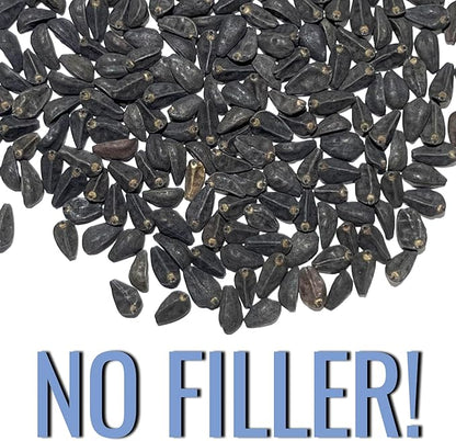 Seed Needs Heavenly Blue Morning Glory Seeds for Planting | 1,000+ Heirloom Seeds Ipomoea Tricolor Untreated Annual Flowering Seed | Vine Plant Produces Masses of 6" Wide Blue Blooms | Bulk
