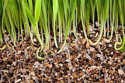 Gardenera's Horticultural Vermiculite for Healthy and Happy Plants - Lightweight, Non-Toxic and Perfect for Improved Soil Aeration - 10 Quart