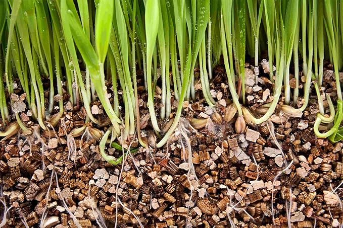 Gardenera's Horticultural Vermiculite for Healthy and Happy Plants - Lightweight, Non-Toxic and Perfect for Improved Soil Aeration - 20 QUART
