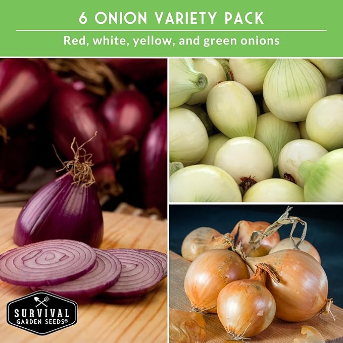 Onion Seeds for Planting – 6 Variety Pack Collection | Ruby Red, Tropea Rossa, Tokyo Long White, Sweet Spanish, White Grano, Ailsa Craig – Heirloom Non-GMO Onions – Survival Garden Seeds