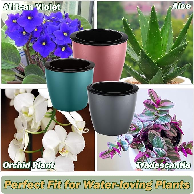Planterhoma 6.7 Inch Self Watering Pots for Indoor Plants, 6 Packs African Violet Pots, Black Wick Pot with Drainage Holes, Self Watering Planters for Orchid, Devil's Ivy, Blue/Rose Gold