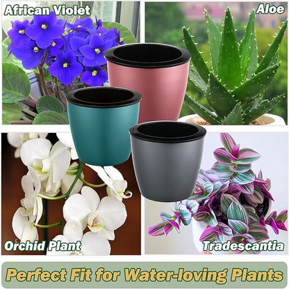 Planterhoma 6.7 Inch Self Watering Pots for Indoor Plants, 6 Packs African Violet Pots, Black Wick Pot with Drainage Holes, Self Watering Planters for Orchid, Devil's Ivy, Blue/Rose Gold