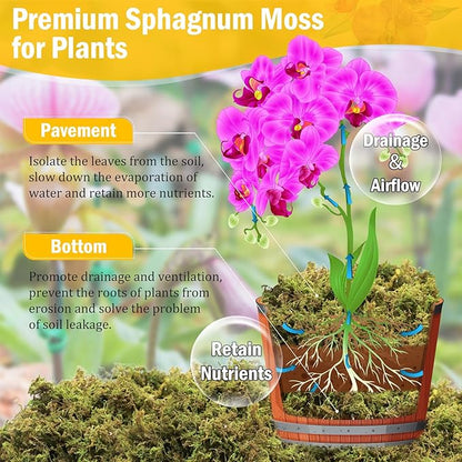 Riare 1.3LBS Premium Sphagnum Moss for Plants- 25QT Natural Dried Plant Moss for Potted Plants, Orchid Moss for Repotting, Soft Green Decorative Moss for Succulents, Reptiles & DIY Crafts