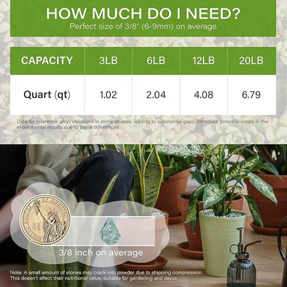 NUPICK 6lb Green Zeolite for Plants, 3/8" Natural Succulent Potting Soil Amendments, Decorative Gravel for Cactus, Bonsai Gritty Rock, Pebbles Pumice for Vase Fillers, Top Dressing