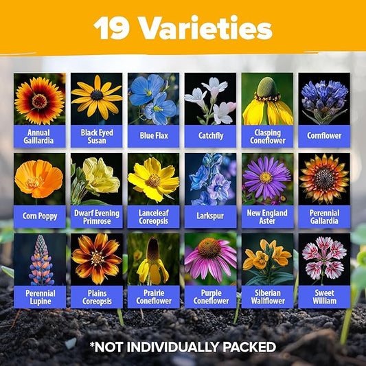 HOME GROWN 65,000+ Wildflower Seeds Heirloom Perennial Flower Seeds Mix for Attracting Bees Birds & Butterflies, High Germination (Midwest, 4 oz)