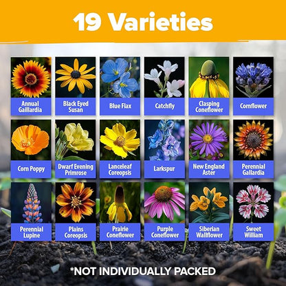 HOME GROWN 32,500+ Midwest Wildflower Seeds 2oz 15 Varieties – Annual & Perennial Flower Seeds for Attracting Bees & Butterflies – Open Pollinated
