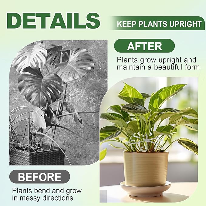 32pcs Upgraded Plant Stem Support, Transparent Plant Support for Indoor Plants, Reusable Climbing Houseplant Stem Holders, Plant Stabilizer, 4 Sizes Plants Accessories