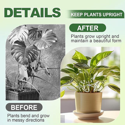 32pcs Upgraded Plant Stem Support, Transparent Plant Support for Indoor Plants, Reusable Climbing Houseplant Stem Holders, Plant Stabilizer, 4 Sizes Plants Accessories