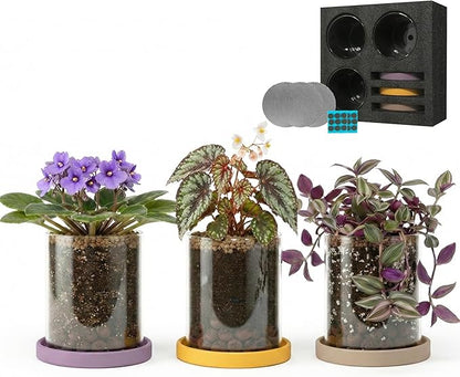 3-Pack 4 Inch Clear Glass Plant Pots with Drainage and Ceramic Trays, Indoor Herb Planters for Home Office, Succulents & Small Plants (Soft 3 Colors)
