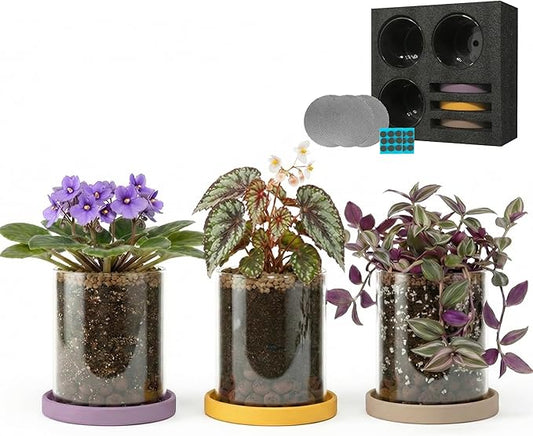 3-Pack 4 Inch Clear Glass Plant Pots with Drainage and Ceramic Trays, Indoor Herb Planters for Home Office, Succulents & Small Plants (Soft 3 Colors)
