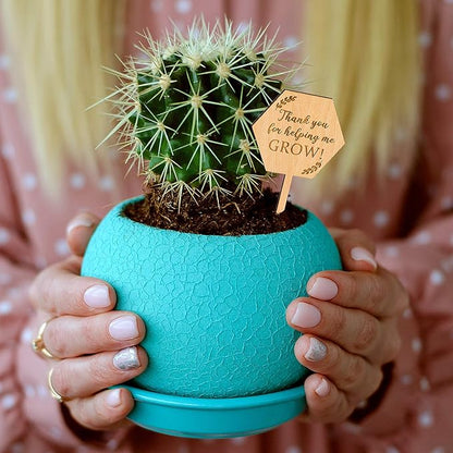 Thank You for Helping Me Grow Succulent Tags Teacher Appreciation Gifts, PARBEE 40PCS Hexagon Plant Stakes Labels Gift for Mother's Day Christmas Thanksgiving Baby Shower