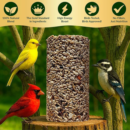 Bugs, Nuts & Berries Bird Seed Cylinders with Hole – Wild Bird Food for Blue Birds, Woodpeckers, Cardinals & More – Premium Protein-Rich All Natural Blend, No Fillers – USA Made (4" x 7.75")