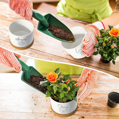 Sieral 6pcs Bible Verse Succulent Pots 3 x 3 x 2 Inch Mini Ceramic Succulent Planters with Bamboo Tray Small Plant Pots Christian Gift for Church Women Men Pastor, Plants Not Included (Bright)