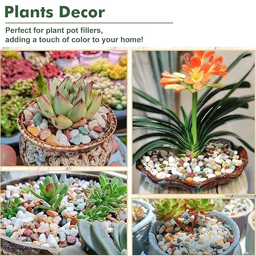 18 lbs Succulent and Cactus Bonsai Pebbles, 6-9mm Decorative Landscaping Stones Natural Garden Gravel Rocks for Indoor Outdoor Plants Aquariums DIY, and Gardening Top Dressing, Green Zeolite