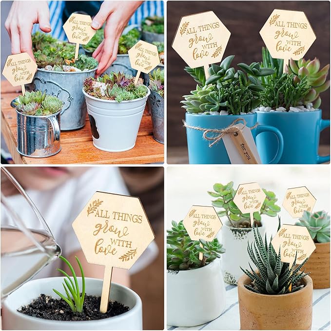 AnyDesign 30Pcs All Things Grow with Love Labels Succulent Tags Hexagon Wooden Plant Stakes Labels Garden Marker Plant Sign for Seed Potted Teacher Appreciation Gift Thanksgiving Baby Shower
