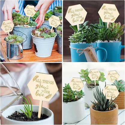 AnyDesign 30Pcs All Things Grow with Love Labels Succulent Tags Hexagon Wooden Plant Stakes Labels Garden Marker Plant Sign for Seed Potted Teacher Appreciation Gift Thanksgiving Baby Shower