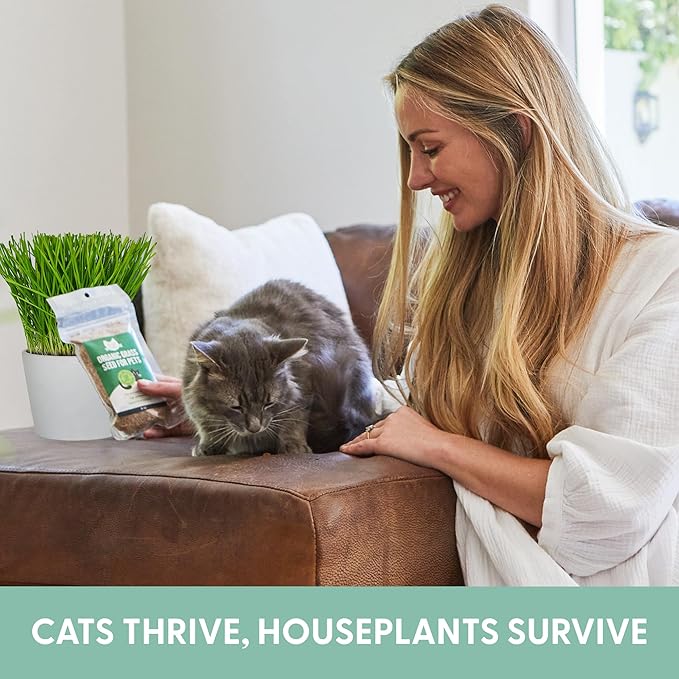 The Cat Ladies 100% Organic Cat Grass Seeds - Cat Grass for Indoor Cats - (Non GMO) 8 oz