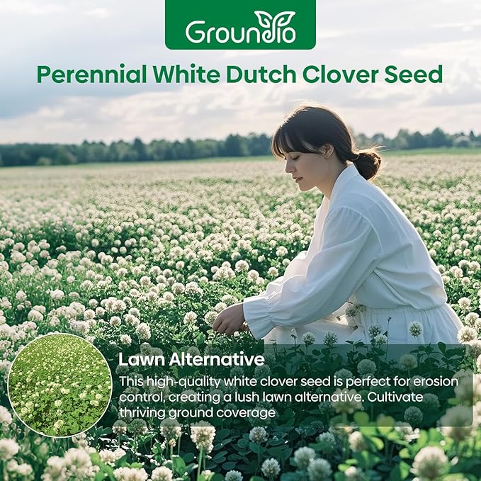White Clover Seeds, 5 lbs, Perennial White Dutch Clover Seed for Lawn, Ground Cover, Nitrocoated and Inoculated, Attracts Pollinators